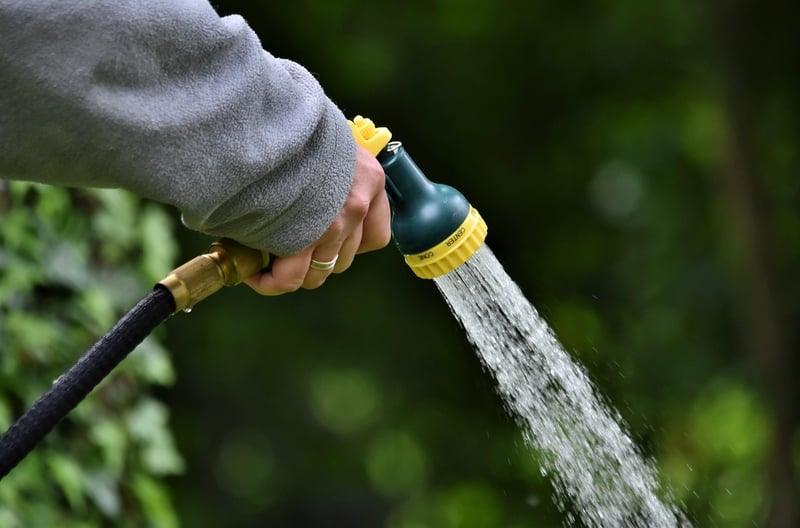 Moisture Control Techniques